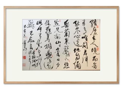 王金华的字2